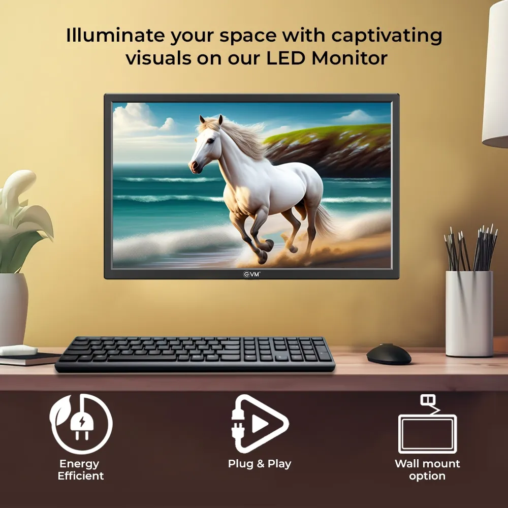EVM LED Monitor 22" HD with HDMI | VGA (Grand 220) view 6